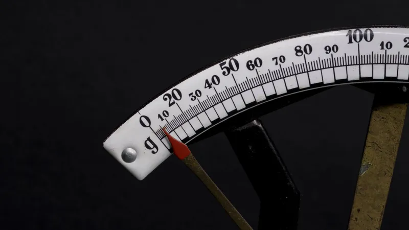 저울이 균형을 이루고 있는 모습