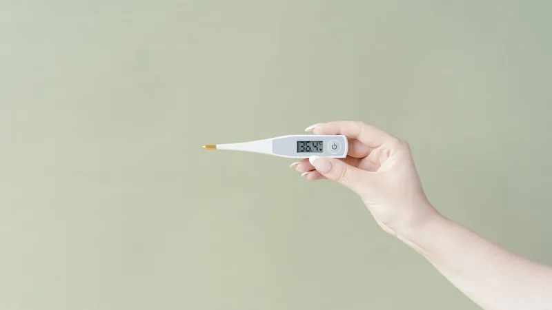 열이 표시된 디지털 체온계
